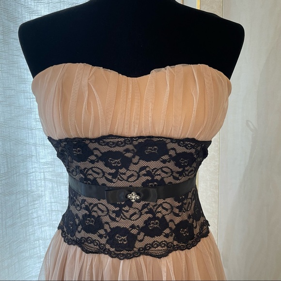 Blush Aline Dress With Black Lace Detail - Picture 4 of 6